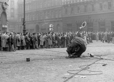 Budapest, 1956