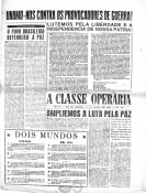 capa nº 31