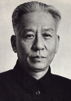 Liu's Party Portrait